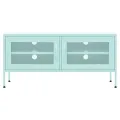 Meuble TV Vert menthe 105x35x50 cm Acier