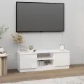 Meuble TV avec porte Blanc 102x30x36 cm