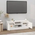 Meuble TV avec porte Blanc 102x30x36 cm