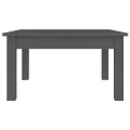 Table basse Gris 55x55x30 cm Bois massif de pin
