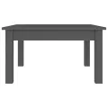 Table basse Gris 55x55x30 cm Bois massif de pin