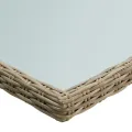 Table à dîner Marron 200x100x74 cm Verre et résine tressée