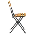 Chaises pliables de jardin 2 pcs Acier et bois d'acacia solide