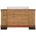 Fauteuil avec coussins Marron Rotin naturel