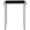 Table de jardin Noir et argenté 41x41x45 cm Acier et verre