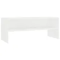 Meuble TV Blanc 100 x 40 x 40 cm Aggloméré