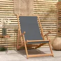 Chaise de plage pliable Bois de teck solide Gris