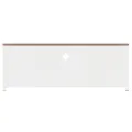 Meuble TV Blanc 110x30x40 cm Fer et bois de sapin massif