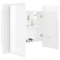 Armoire à miroir de bain à LED Blanc brillant Acrylique