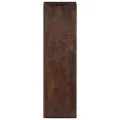Armoire console 40 x 30 x 110 cm Bois d'acacia massif