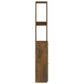 Armoire de bain chêne fumé 25x26,5x170 cm bois d'ingénierie