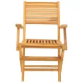 Chaises de jardin pliantes 2 pcs 55x62x90 cm bois massif teck