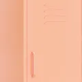 Armoire de rangement Rose 42,5x35x101,5 cm Acier