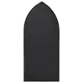 Miroir de jardin Noir 100x45 cm Fer pour utilisation extérieure