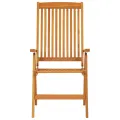 Chaises de jardin pliables 2 pcs Bois d'eucalyptus massif
