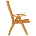 Chaises de jardin pliables 2 pcs Bois d'eucalyptus massif