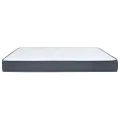 Matelas de sommier tapissier 200x100x20 cm