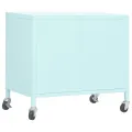 Armoire de rangement Menthe 60x35x56 cm Acier