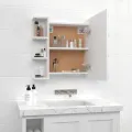 Armoire à miroir avec LED Blanc 70x16,5x60 cm