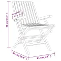 Chaises de jardin pliantes 2 pcs 61x67x90 cm bois massif teck