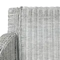 Chaise à manger avec coussin Gris Rotin naturel
