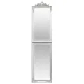 Miroir sur pied Argenté 45x180 cm