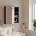 Armoire de salle de bain à miroir avec LED gris 45x13x52 cm