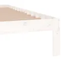 Cadre de lit Blanc Bois massif 150x200 cm Très grand