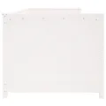 Lit de jour Blanc 80x200 cm Bois de pin massif