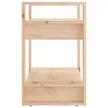 Bibliothèque/Séparateur de pièce 60x35x57 cm Pin massif