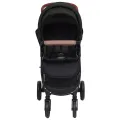 Poussette pour bébé 2-en-1 Anthracite Acier