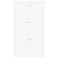 Armoire à chaussures Blanc 59x17x108 cm Bois d'ingénierie
