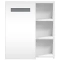 Armoire de salle de bain à miroir avec LED blanc 45x13x52 cm