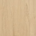 Table basse Chêne sonoma 100x50x45 cm Bois d'ingénierie