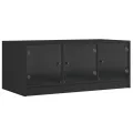 Table basse avec portes en verre noir 102x50x42 cm