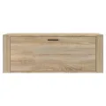 Armoire à chaussures murale Chêne sonoma 100x35x38 cm