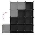 Cubes de rangement 12 pcs Noir PP