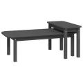 Ensemble de tables basses 2 pcs Gris Bois massif de pin