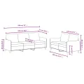 Ensemble de canapés 2 pcs rose velours