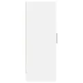 Armoire à chaussures Blanc 32x35x92 cm Aggloméré