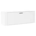 Armoire à chaussures murale Blanc 100x35x38cm Bois d'ingénierie