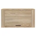 Armoire à chaussures murale Chêne sonoma 70x35x38 cm