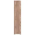 Étagère à chaussures Marron 65x24x117 cm Bois d'ingénierie