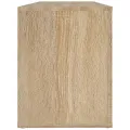Armoire à chaussures Chêne sonoma 100x35x45cm Bois d'ingénierie