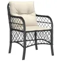 Chaises de jardin avec coussins 2 pcs noir résine tressée