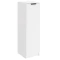 Armoire à chaussures Blanc 30x35x100 cm Bois d'ingénierie