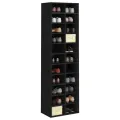 Armoire à chaussures noir 54 x 34 x 183 cm bois d'ingénierie