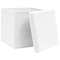 Boîtes de rangement avec couvercles 10 pcs 28x28x28 cm Blanc
