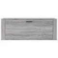 Armoire à chaussures murale Sonoma gris 100x35x38 cm