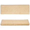 Tapis d'escalier 10 pcs 65x21x4 cm Marron